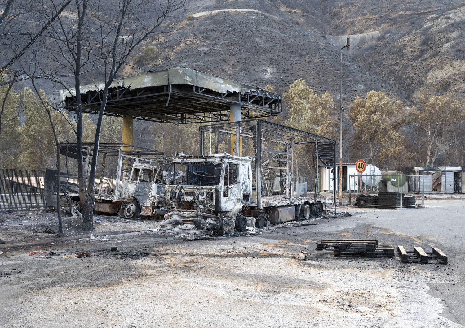 Incendi a Palermo