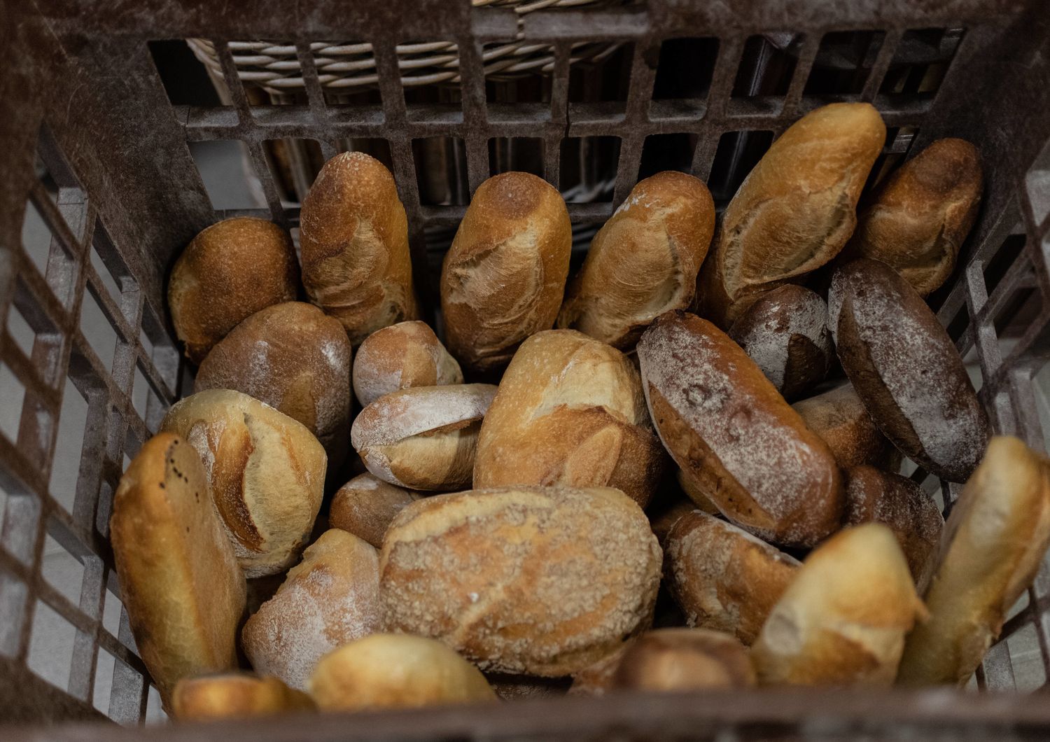 cibo futuro pane con siero latte