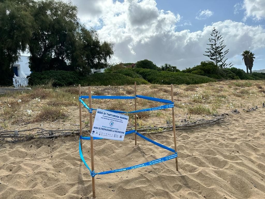 La spiaggia dove la tartaruga ha deciso di deporre le uova