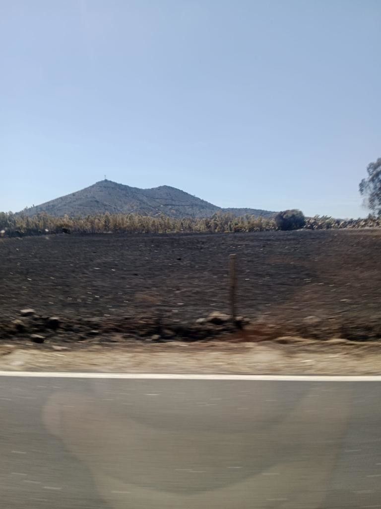 Courtesy of on. Dario Giagoni&nbsp;