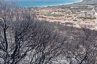 sardegna incendi devastati ettari&nbsp;