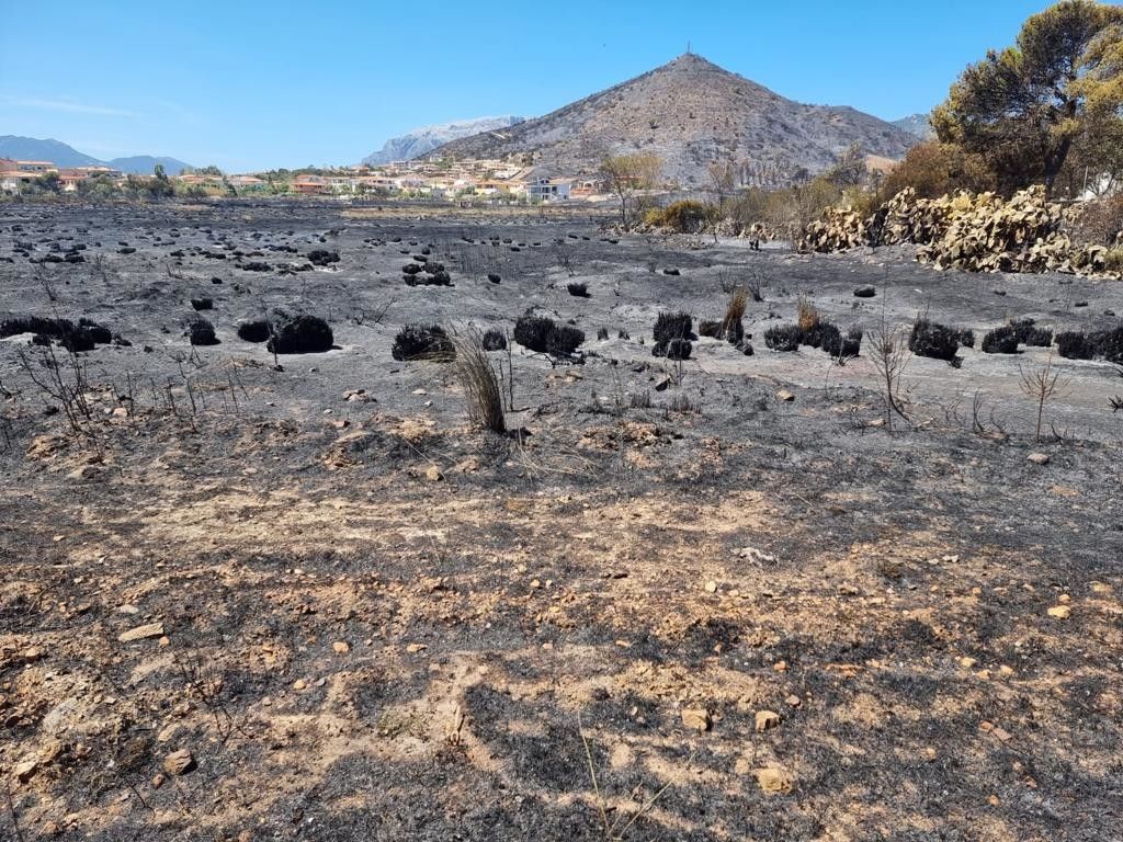 Courtesy of on. Dario Giagoni&nbsp;