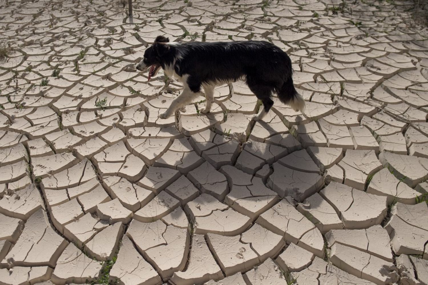Allarme siccit&agrave; in Spagna
