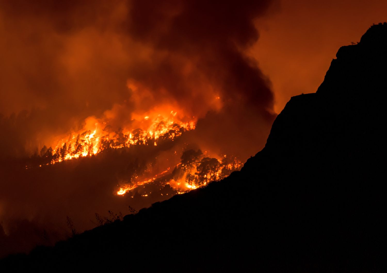 Incendio a Tenerife