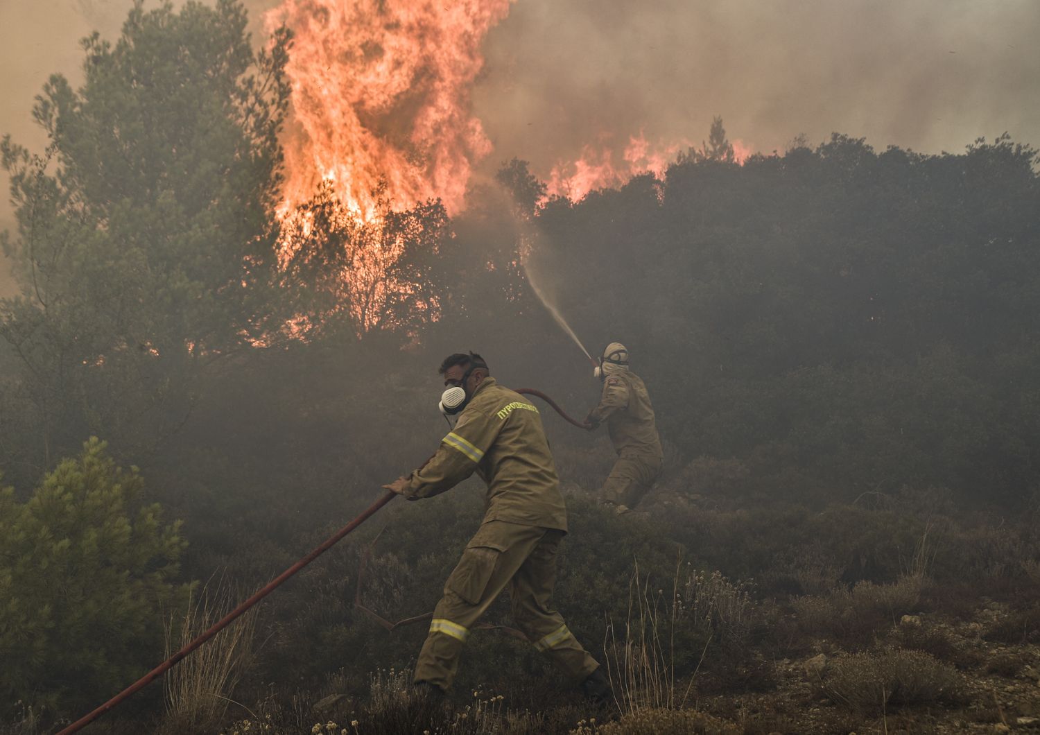 Vigili del fuoco combattono con un incendio in Grecia