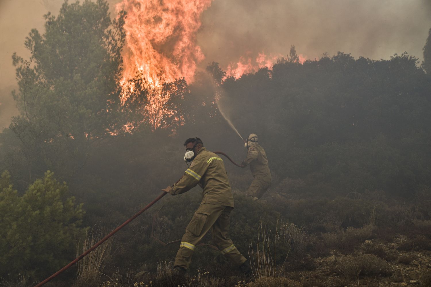Vigili del fuoco combattono con un incendio in Grecia