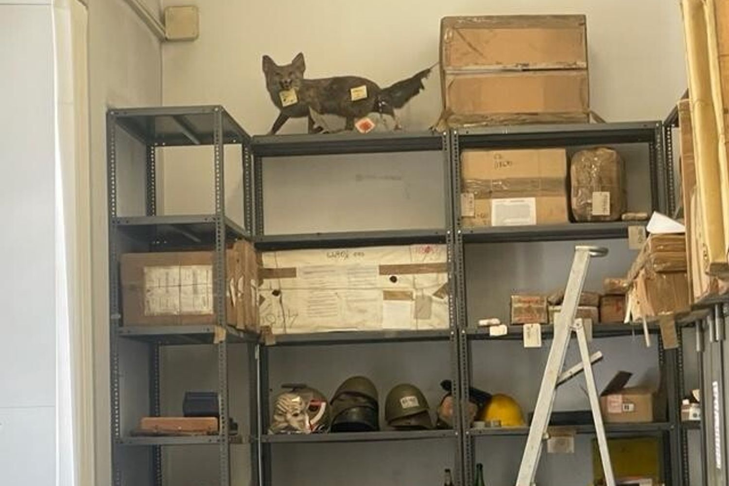 Gli scaffali con alcuni dei 'corpi di reato' conservati nei sotterranei del Tribunale&nbsp;&nbsp;