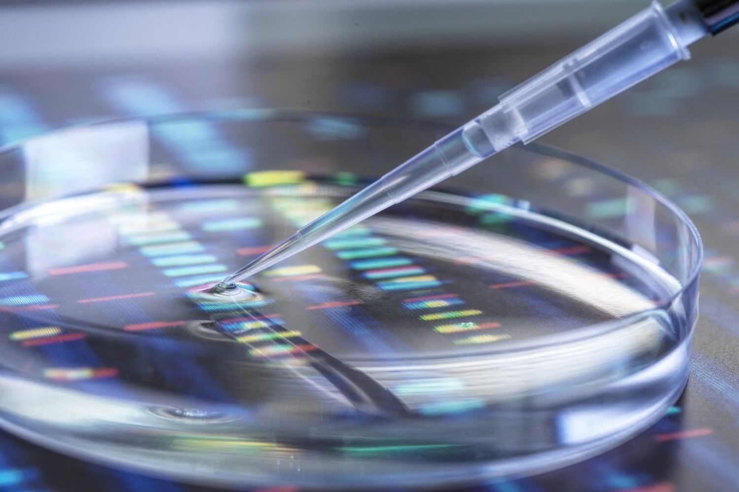 &nbsp;Studi sequenziamento del Dna