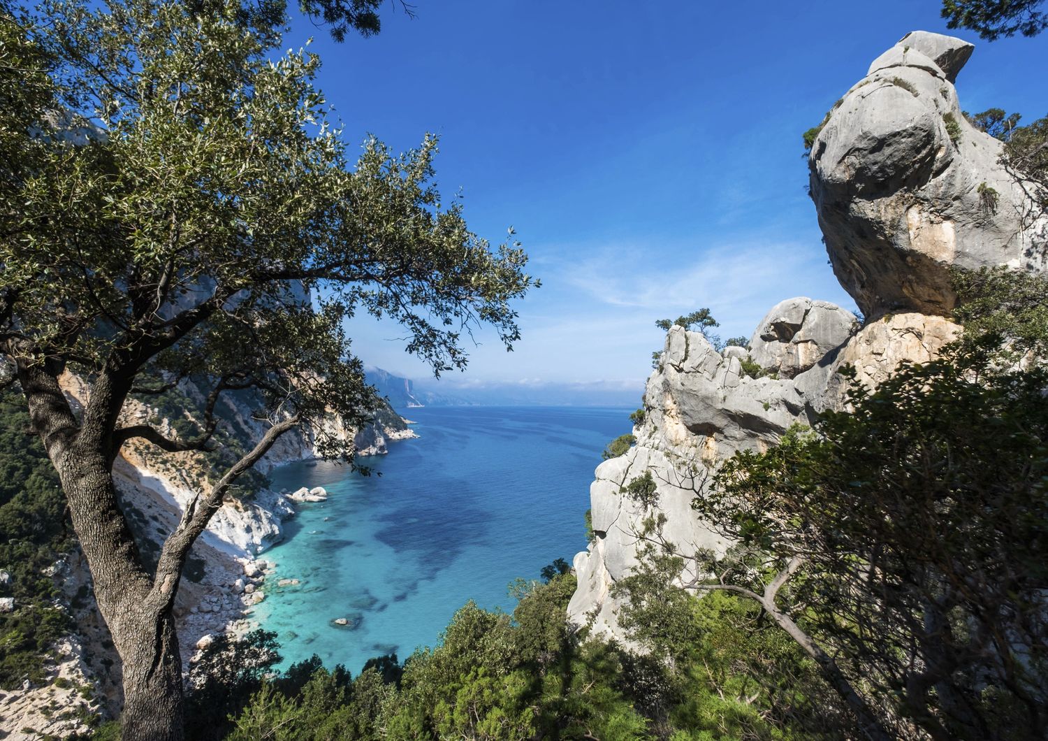 albero cade costone spiaggia sardegna muore donna 28 anni