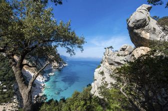 albero cade costone spiaggia sardegna muore donna 28 anni