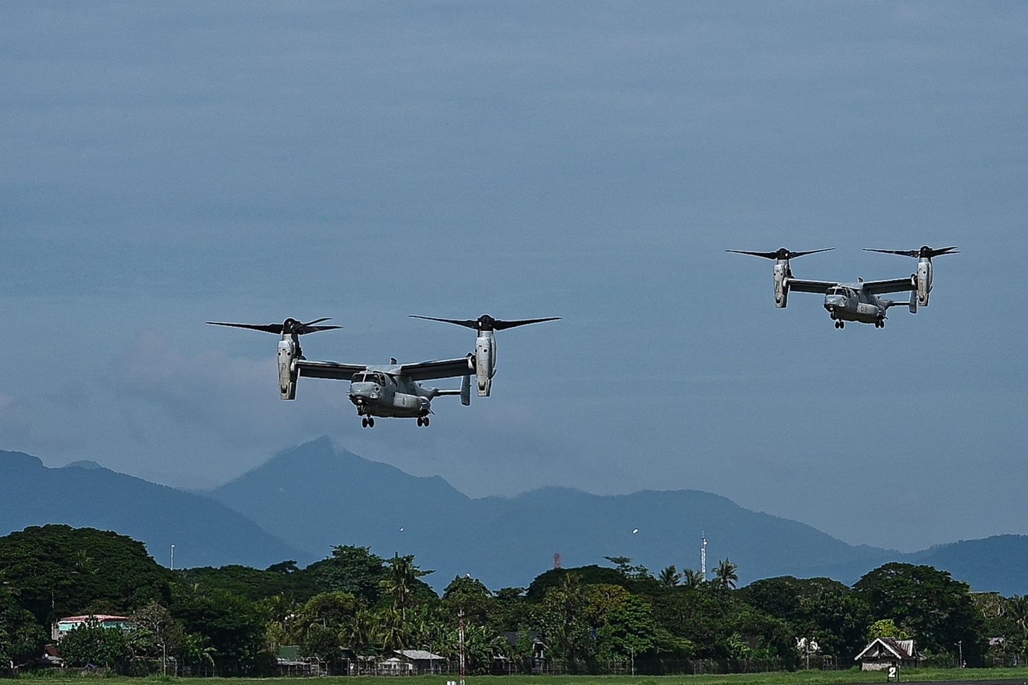 Due Osprey in volo