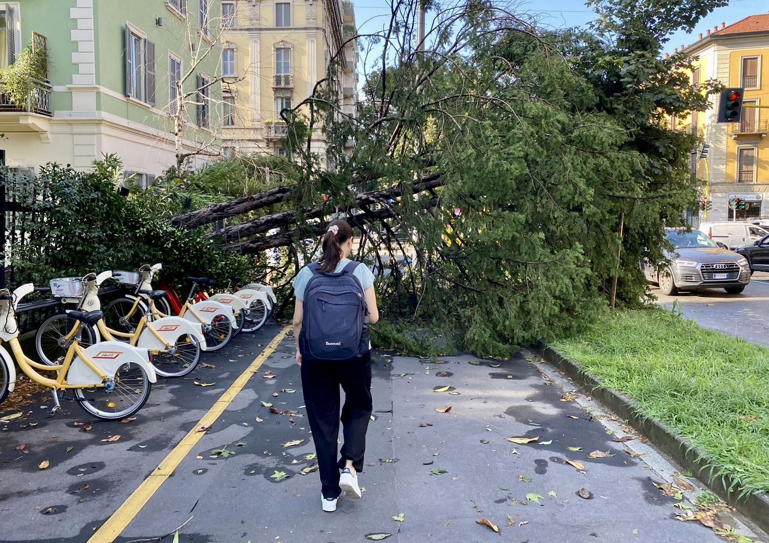 Un albero abbattuto dal maltempo a MIlano
