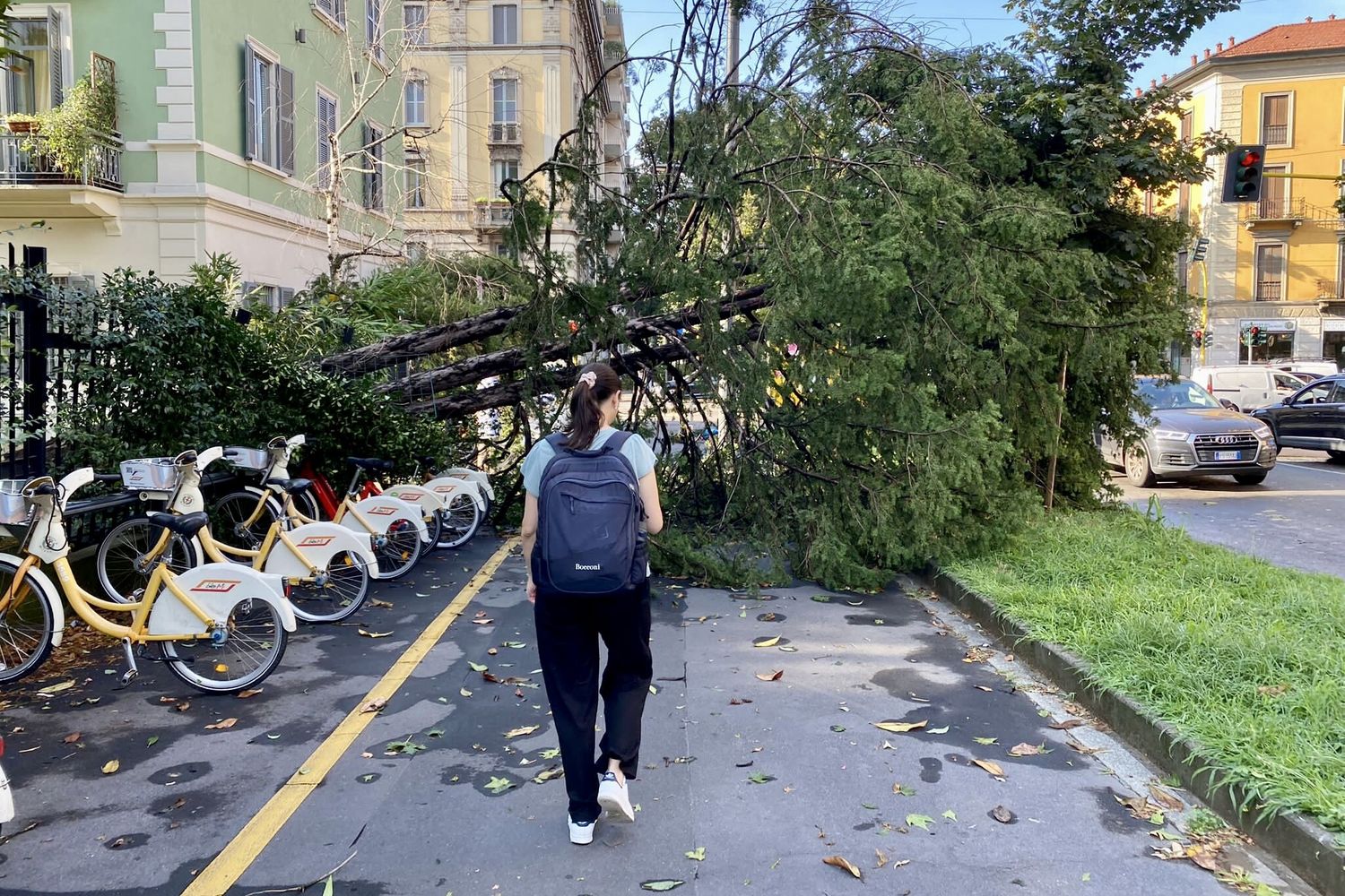 Un albero abbattuto dal maltempo a MIlano