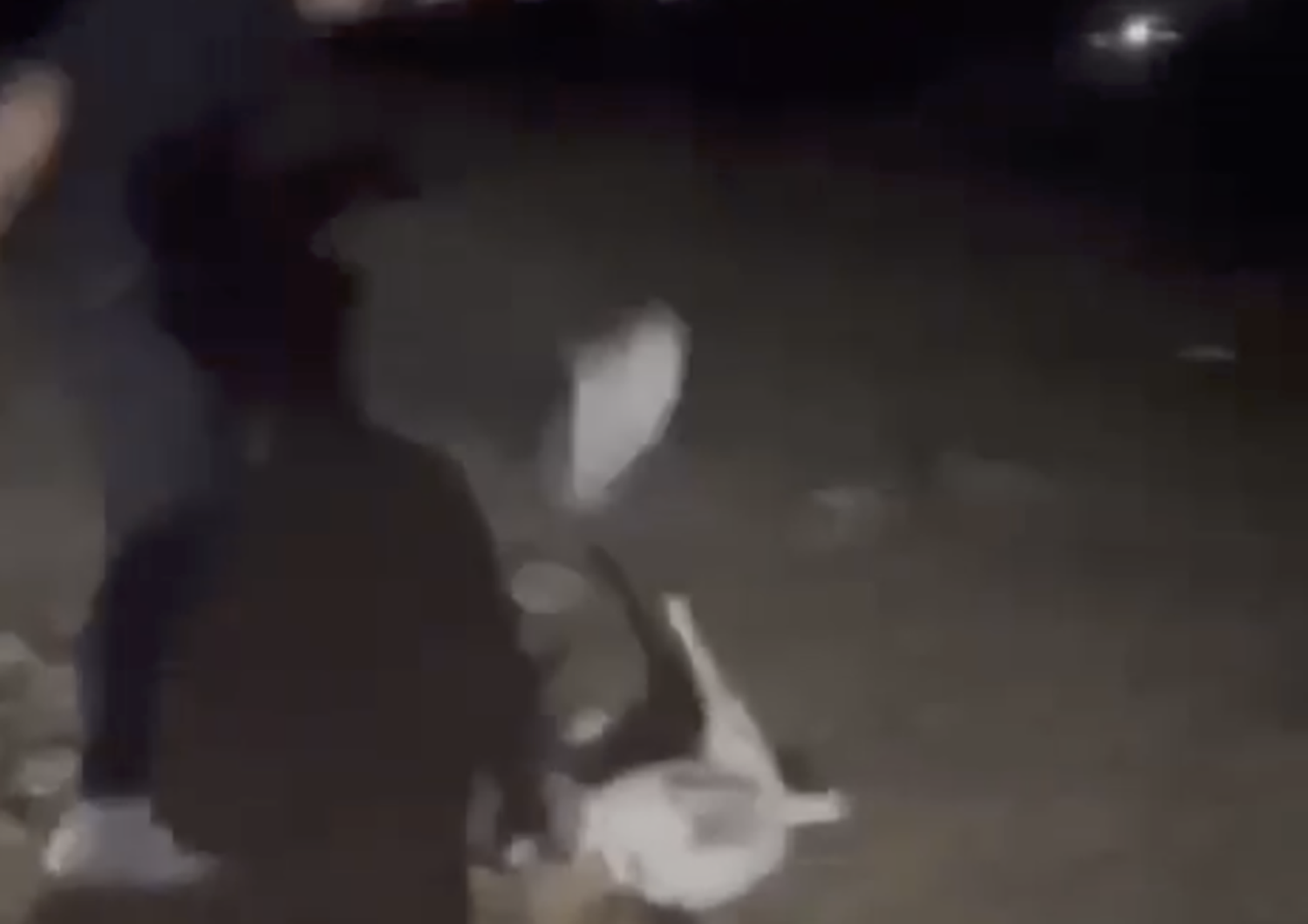Un frame del video in cui il diciottenne uccide una capretta a calci