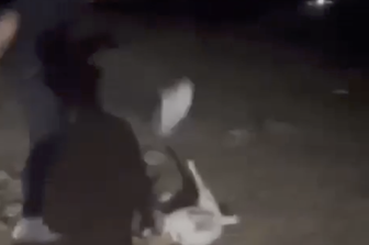 Un frame del video in cui il diciottenne uccide una capretta a calci