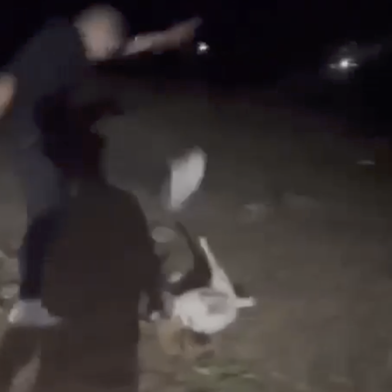 Un frame del video in cui il diciottenne uccide una capretta a calci