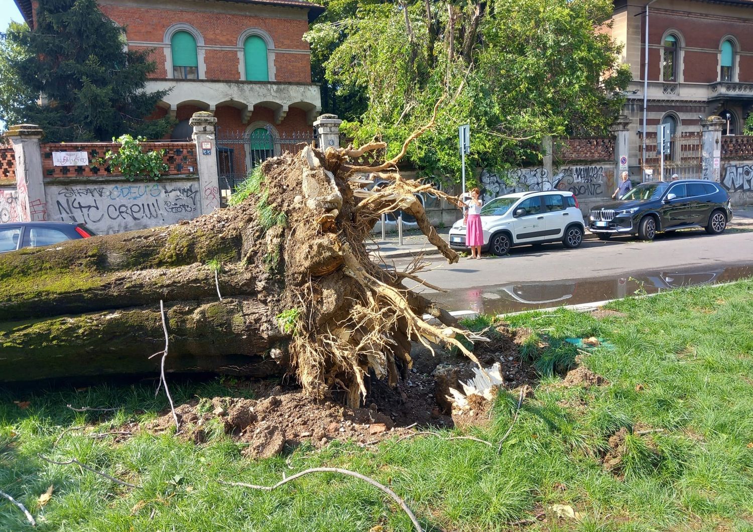 &nbsp;Albero divelto a Milano dopo nubifragio