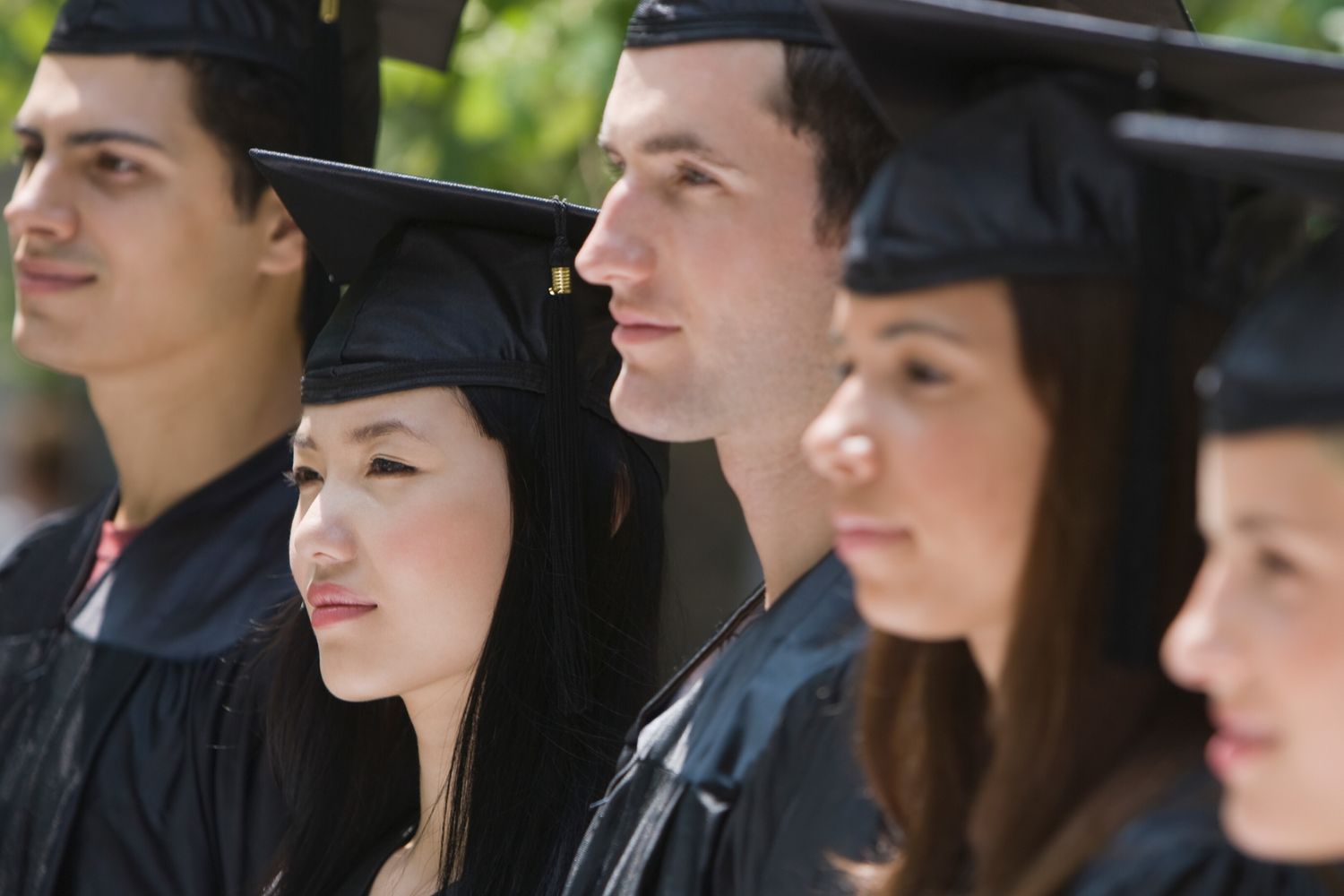 Laurea, Universit&agrave;