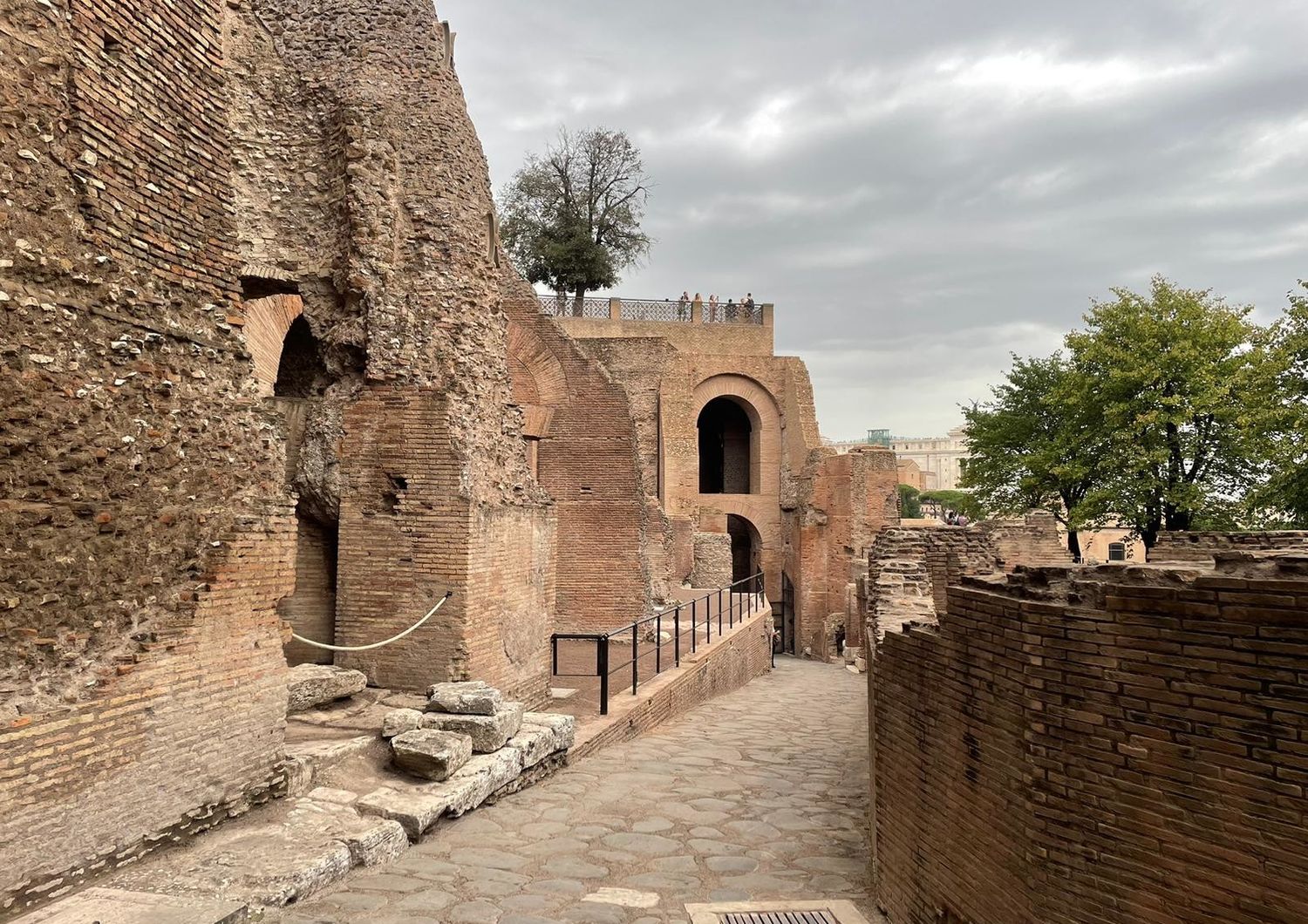 riapre pubblico domus tiberiala parco archologico colosseo sangiuliano