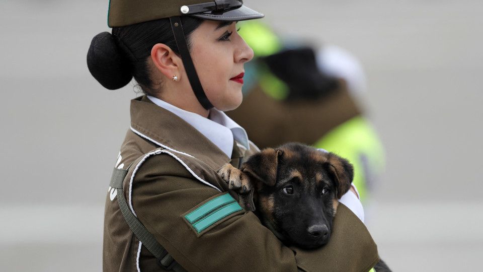 La parata si &egrave; svolta, come ogni 19 settembre, nel parco O' Higgins della capitale Santiago.