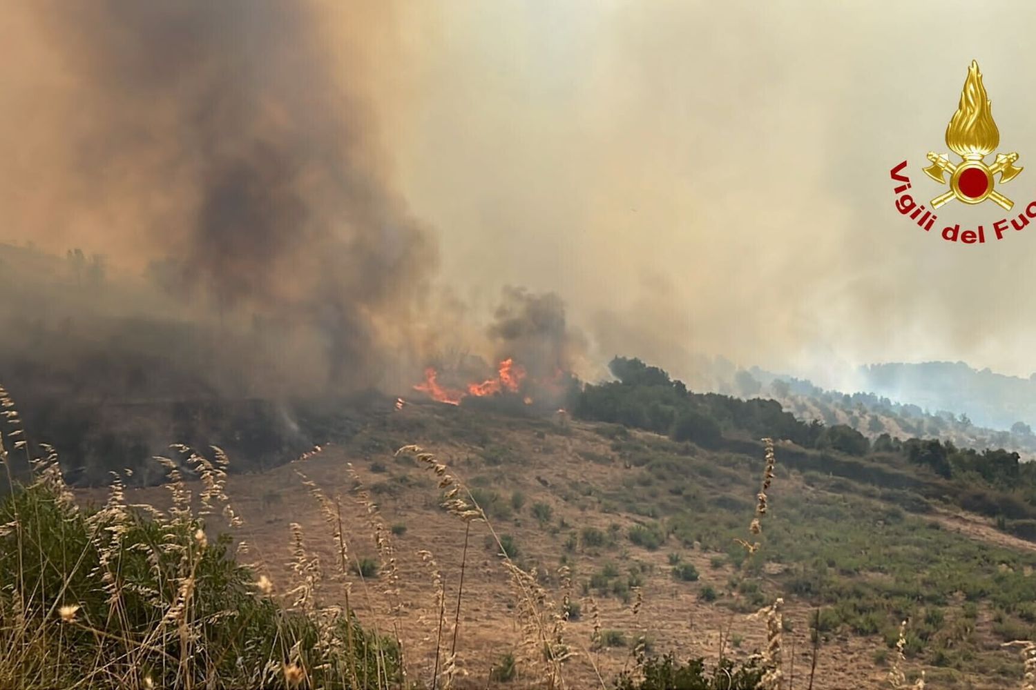 Incendi in Sicilia