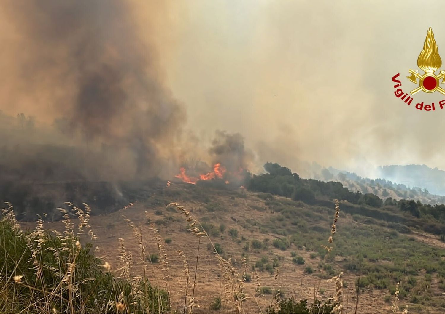 Incendi in Sicilia