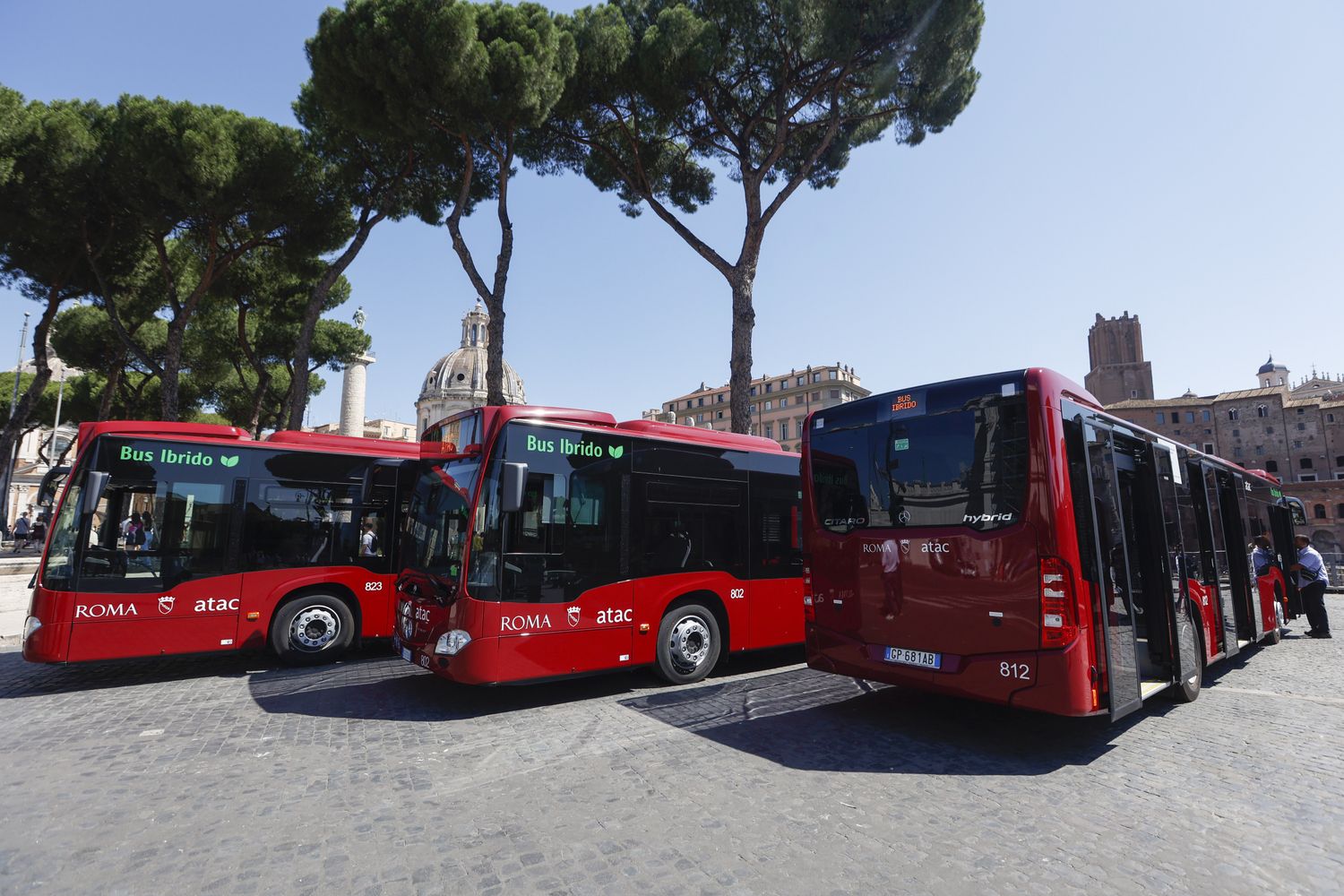 Bus Roma