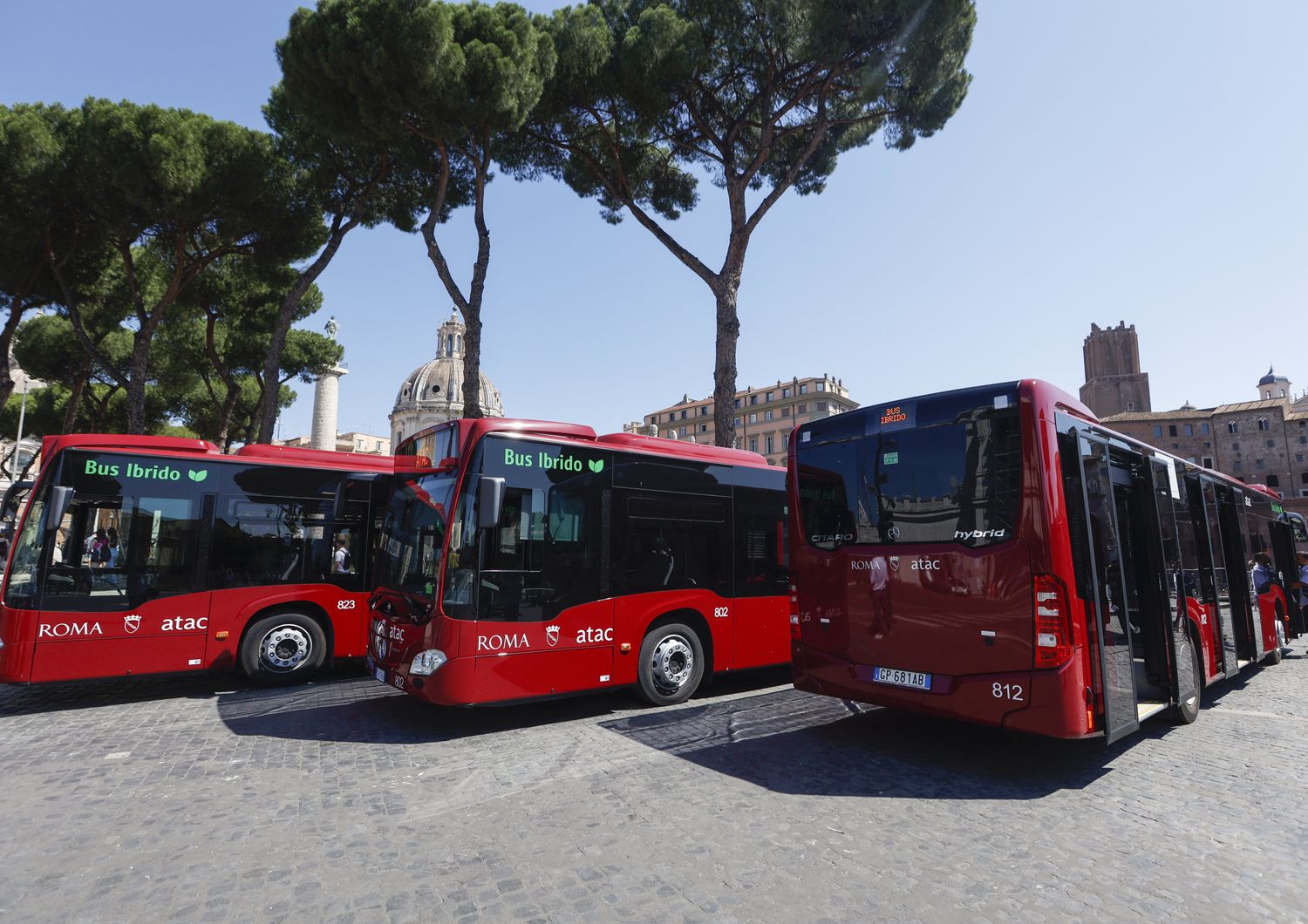 Bus Roma