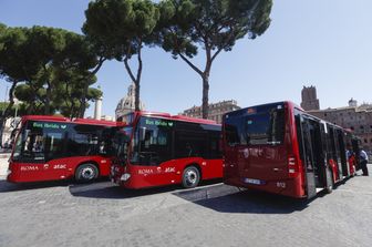 Bus Roma