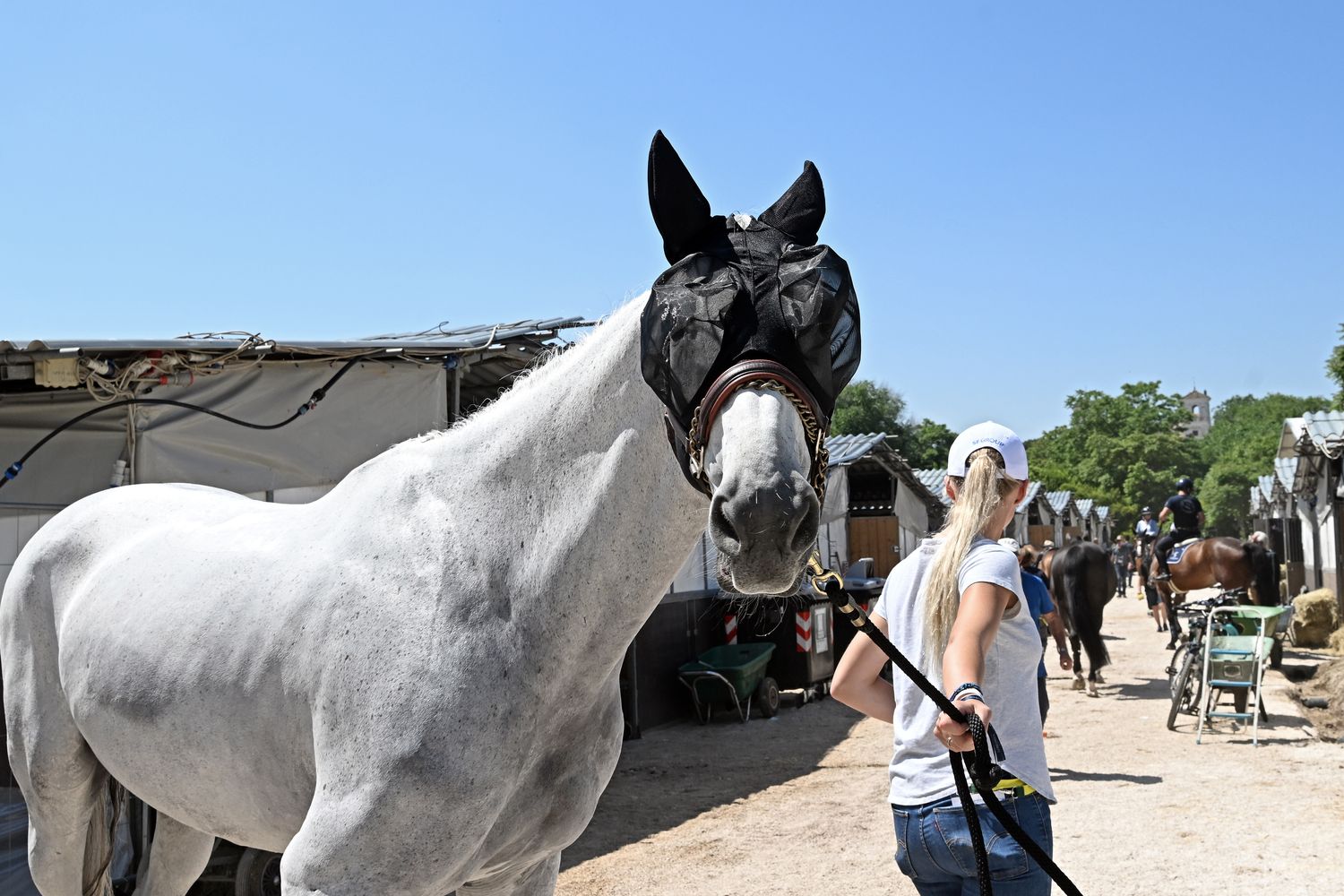 Concorso ippico a Roma&nbsp;