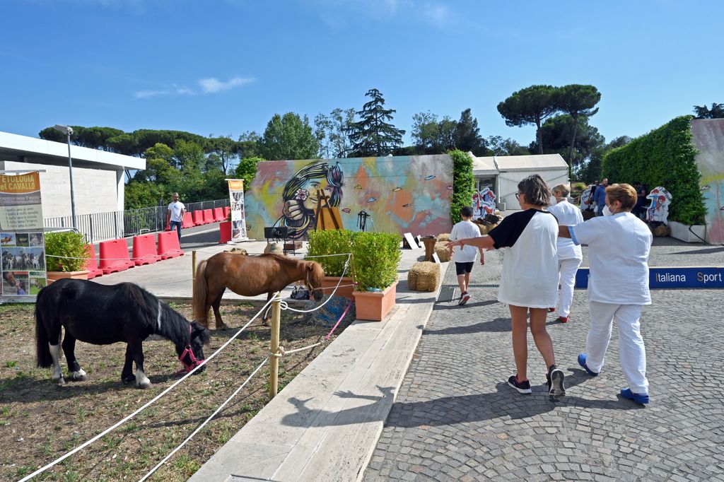 Cavalli e pony per l&rsquo; umanizzazione della cura ospedaliera al Policlinico Gemelli&nbsp;