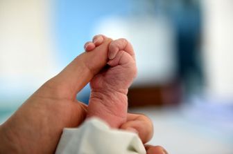 nascita, natalit&agrave;