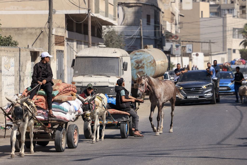 Palestinesi con le loro cose fuggono da Gaza City&nbsp;verso aree pi&ugrave; sicure dopo gli attacchi aerei israeliani