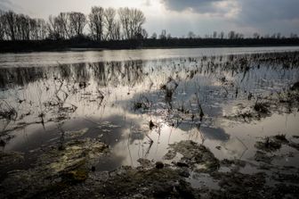 tasso siccita mondo alto 30 anni