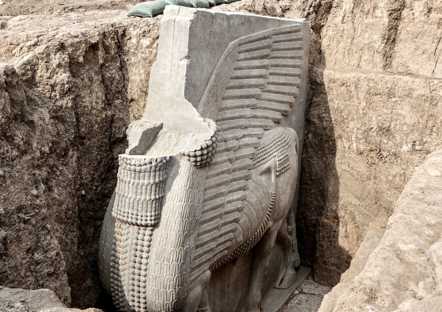 Il lamassu di Khorsabad