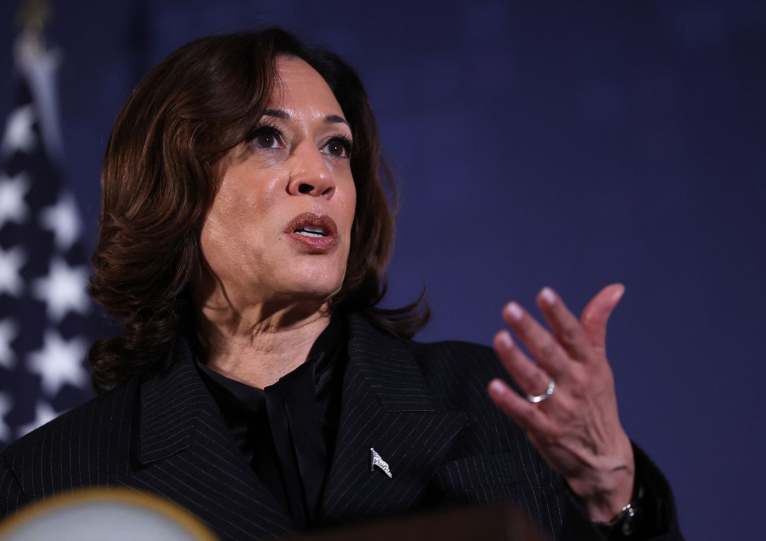 Kamala Harris&nbsp;