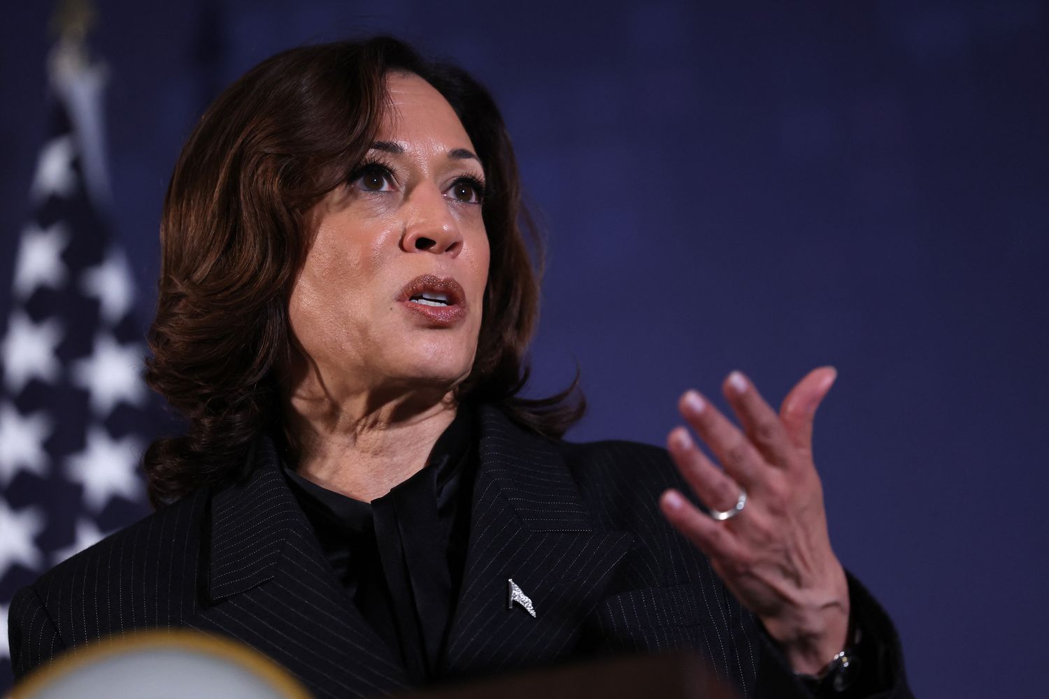 Kamala Harris&nbsp;