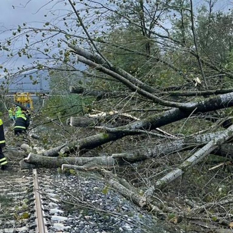 Alberi caduti sulla linea ferroviaria