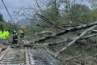 Alberi caduti sulla linea ferroviaria