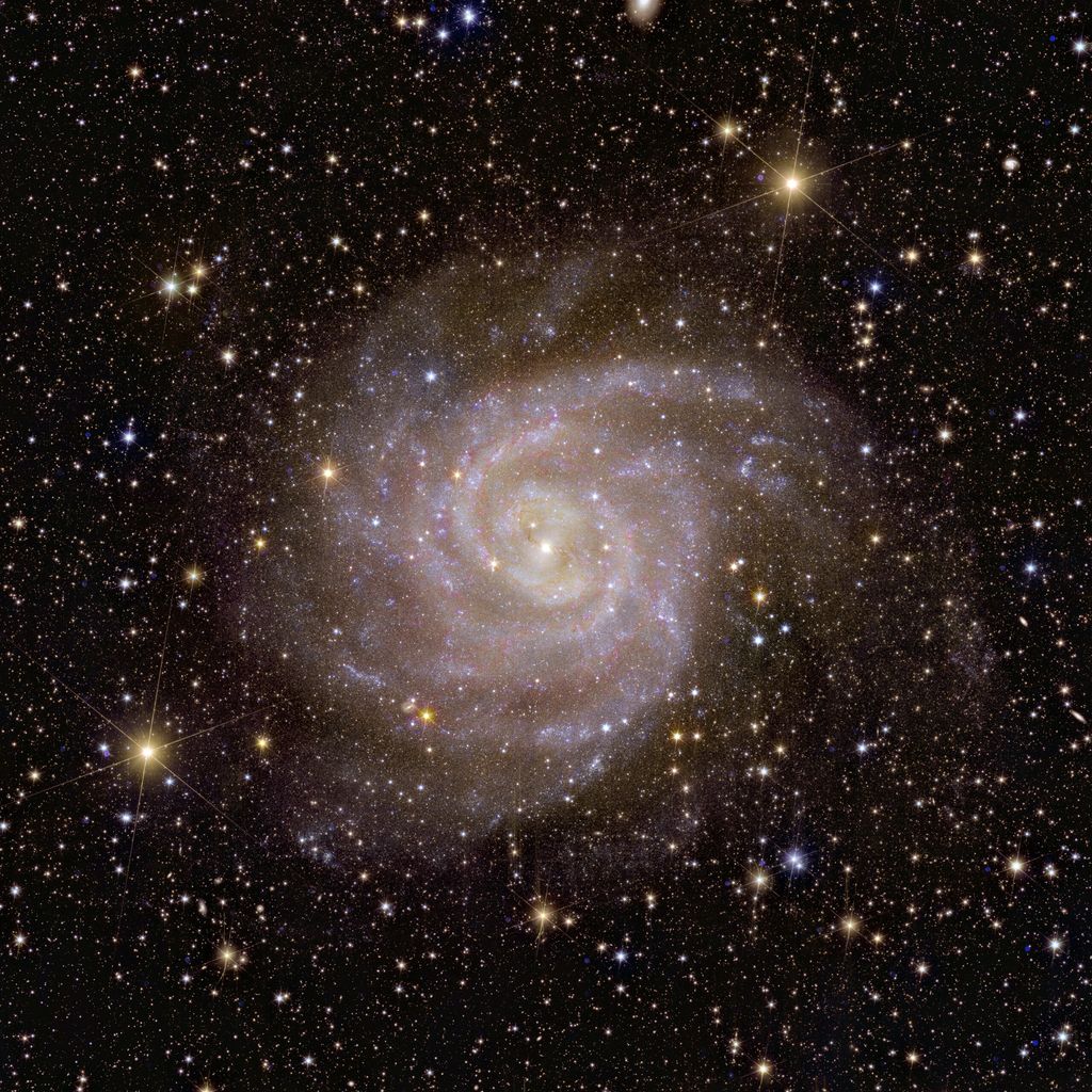 Galassia a spirale IC 342&nbsp;