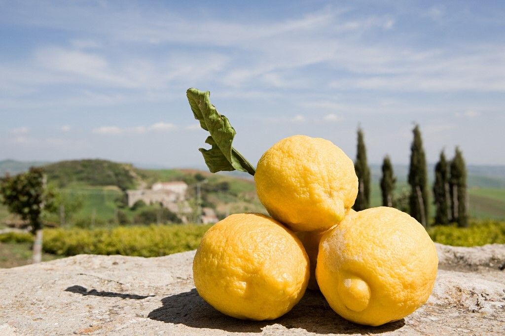Limoni di Sicilia