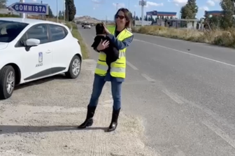 Cucciolo salvato in Calabria