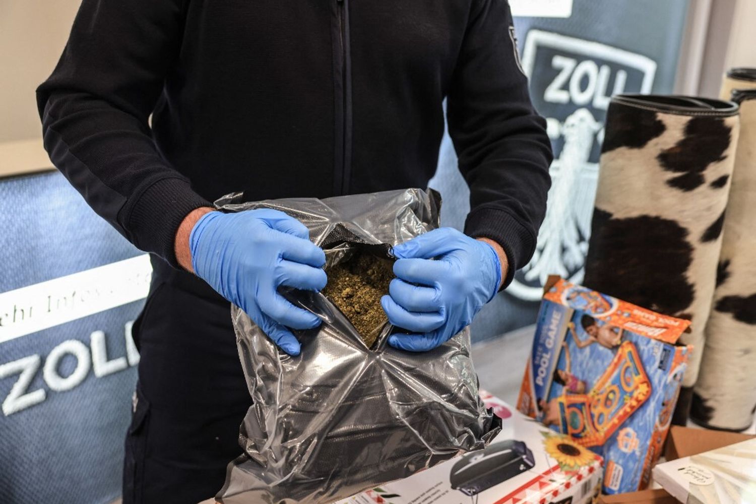 Cannabis sequestrata&nbsp;