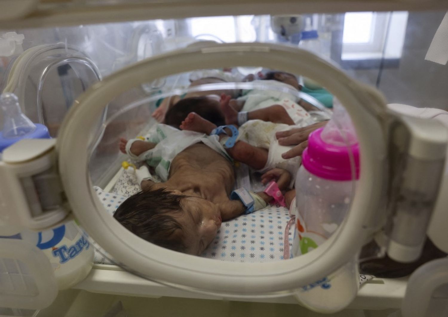 Bimbi prematuri lasciano l'ospedale di al-Shifa