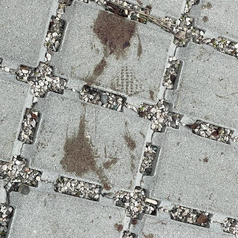 L'impronta col sangue di Giulia Cecchettin