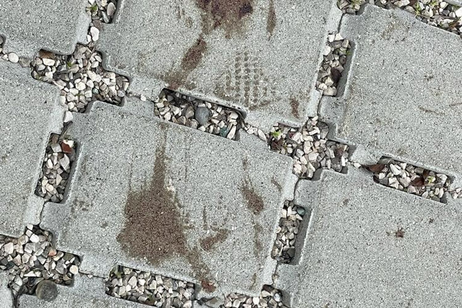 L'impronta col sangue di Giulia Cecchettin