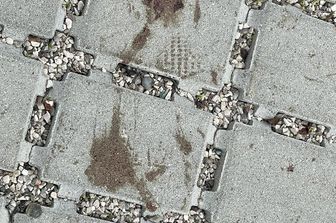 L'impronta col sangue di Giulia Cecchettin