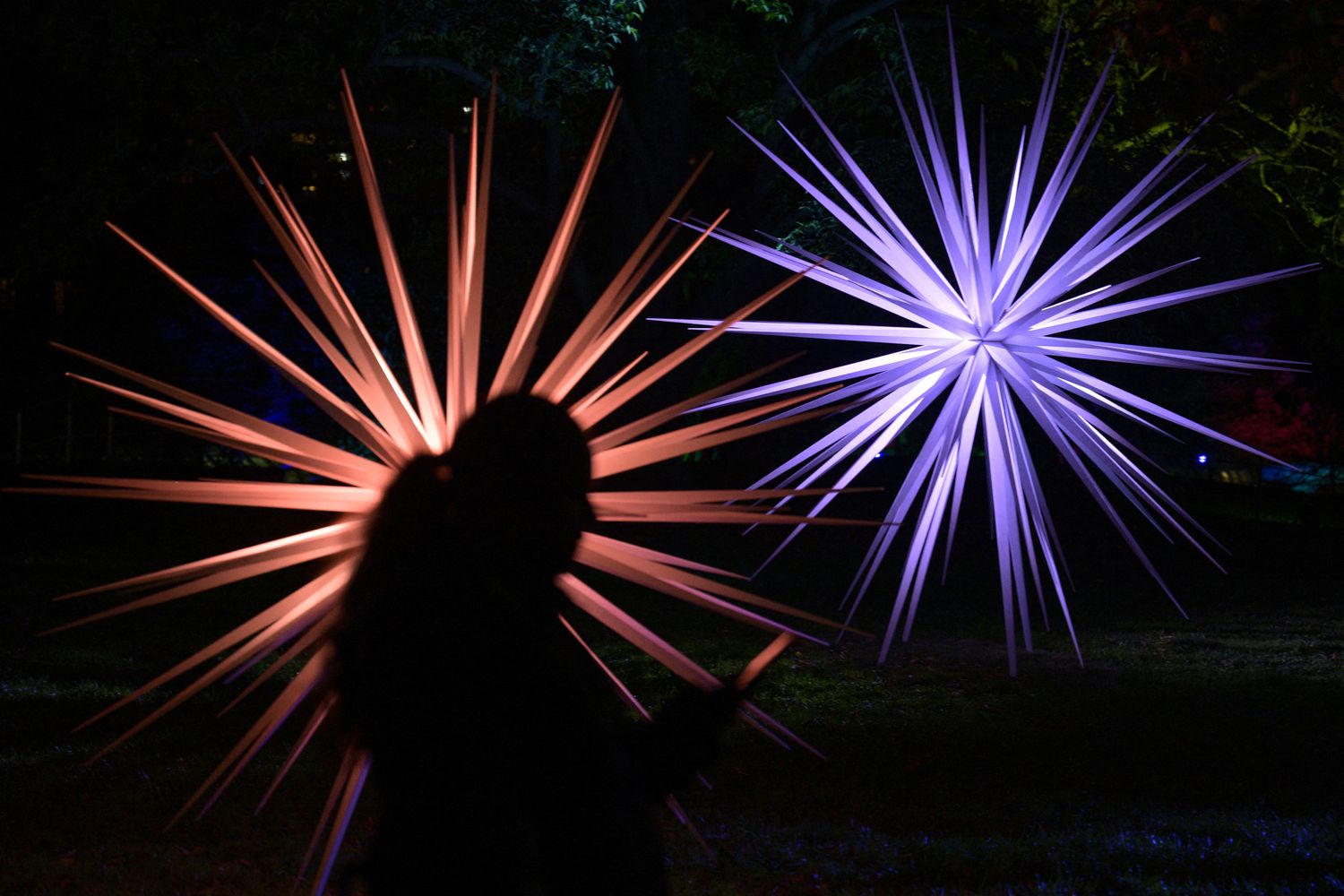 Particolare di 'Lightscape', Brooklyn Botanic Garden