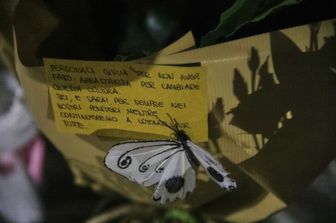 Messaggio per Giulia Cecchettin