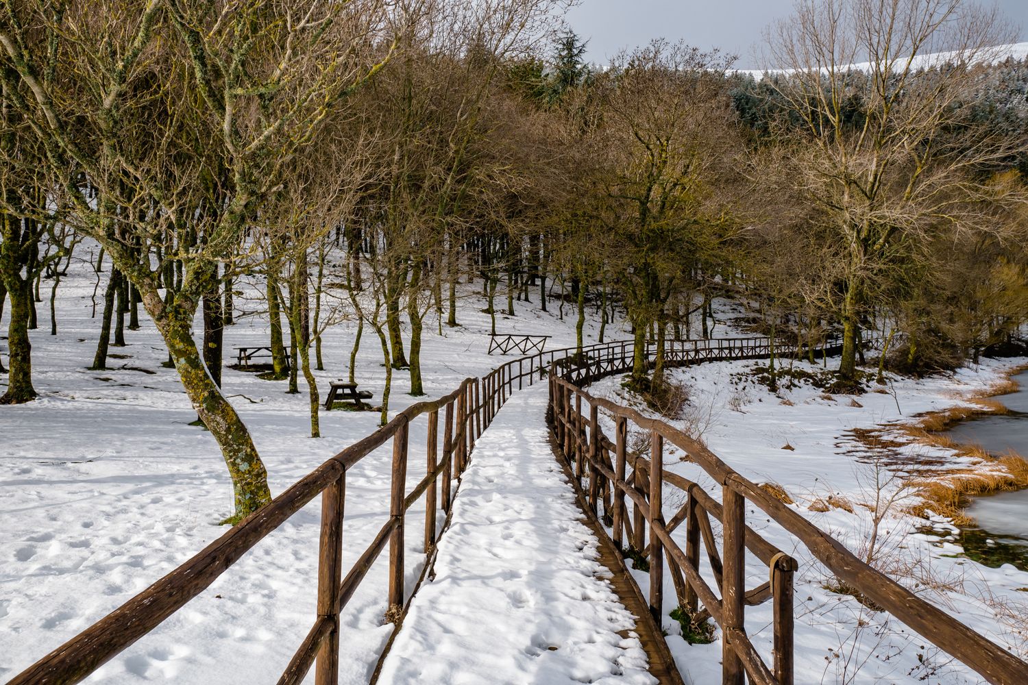 Neve al Centro Italia&nbsp;&nbsp;